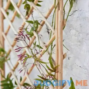 Willow Wood Expanding Trellis MGP Color: Tan