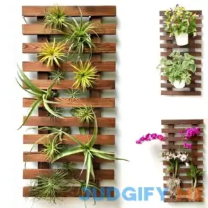 ShopLaLa Wall Planter Wooden Hanging Planter for Indoor Plants Plant Stand