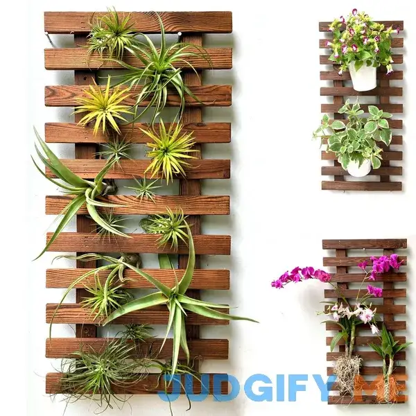 ShopLaLa Wall Planter Wooden Hanging Planter for Indoor Plants Plant Stand ShopLaLa Wall Planter Wooden Hanging Planter for Indoor Plants Plant Stand