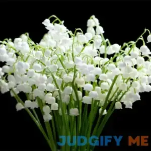 QAUZUY GARDEN 50 Lily of The Valley Tree Seeds Sourwood Sorrel Oxydendrum Arboreum Flower Seeds - Perennial Sweet Fragrant Flower Tree - Showy