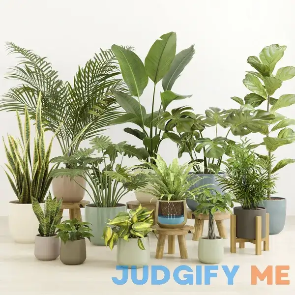 Self-Watering Indoor Plants - Plant Collection - Low-Maintanace Self-Watering Indoor Plants - Plant Collection - Low-Maintanace