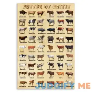 HLLNWB Breeds of Cattle Poster Animal Canvas Farmhouse Highland Cow Poster Texas Longhorn Cow Wall Art Poster (Unframed 12x18inch)