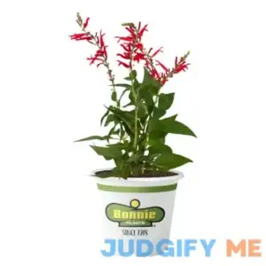 4 Gallon Organic Snap Combo