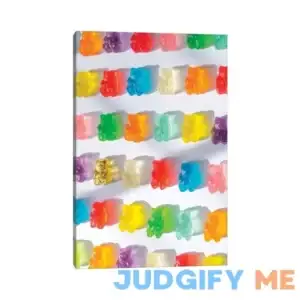 Stained Glass Gummies by Erin Summer Wrapped Canvas Photograph Print East Urban Home
