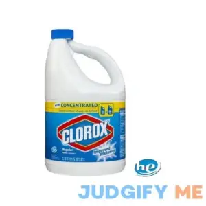 Clorox Regular Bleach Concentrate Liquid