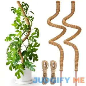 Coco Coir Bendable Moss Poles for Climbing Plants 2 Bendable Moss Pole for Plants Monstera 24" Indoor