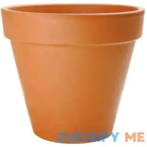 2 in. Mini Terra Cotta Pot