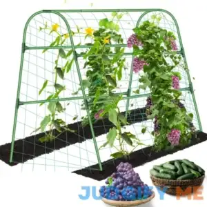 HolyMaji Garden Cucumber Trellis for Climbing Plants Outdoor 49 x 47 Inch Arch Trellis for Raised Bed Steel PE-Coated Detachable Garden Tunnel with