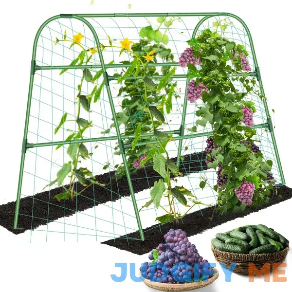 HolyMaji Garden Cucumber Trellis for Climbing Plants Outdoor 49 x 47 Inch Arch Trellis for Raised Bed Steel PE-Coated Detachable Garden Tunnel with HolyMaji Garden Cucumber Trellis for Climbing Plants Outdoor 49 x 47 Inch Arch Trellis for Raised Bed Steel PE-Coated Detachable Garden Tunnel with