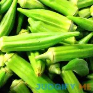 Instant Latch 100 Clemson Spineless Okra Seeds