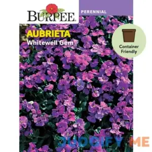Burpee Whitewell Gem Aubrieta Flower Seed