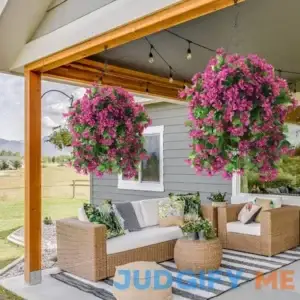 Fairchild Hanging Basket in Basket Primrue Flower