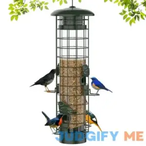 Squirrel Proof Bird Feeder