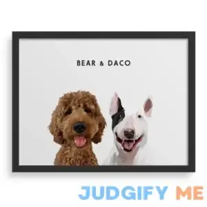 West & Willow Pet Portraits - Custom Two Pet Portrait - Dog & Cat Paintings On Canvas - Gifts For Pet Lovers