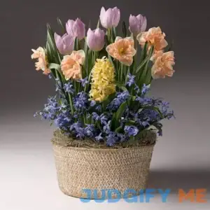 Mother's Day Bulb Garden - Mother's Day Bulb Garden - Gorgeous Potted Garden Makes for The Perfect Gift For Plant Lovers