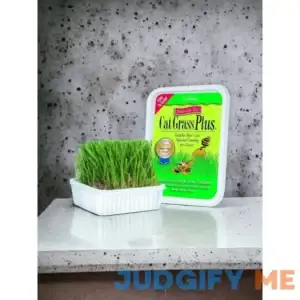 Cat-About Multi-Cat CatGrass Plus Tub 150 grams by MiracleCorp/Gi