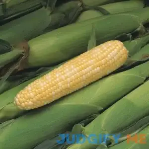 Bonnie Plants Peaches & Cream Corn