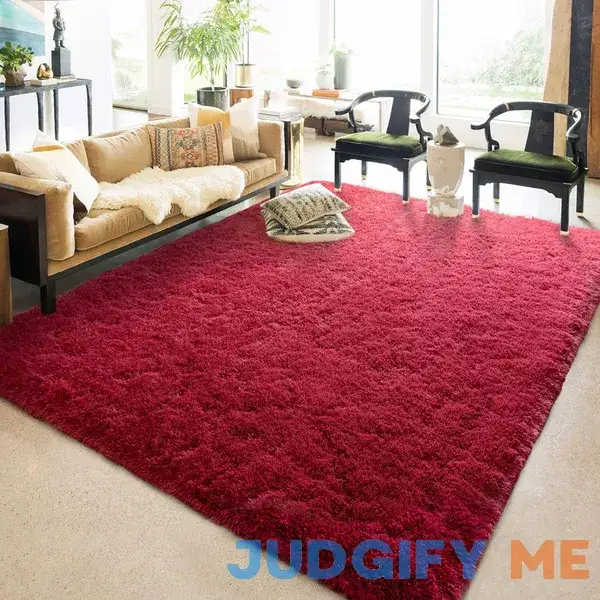 Chicrug Soft Area Rugs for Bedroom Living Room Plush Fluffy Rug Chicrug Soft Area Rugs for Bedroom Living Room Plush Fluffy Rug