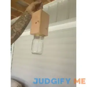 Set of 4 carpenter bee traps with chain