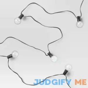 Room Essentials 20ct Incandescent Outdoor String Lights G40 Clear Bulbs