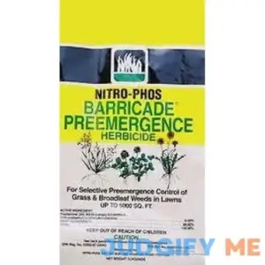 Barricade Pre-EMERGENCE 10 LB