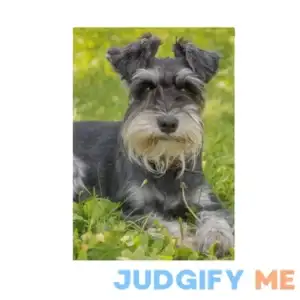 Hokkien Miniature Schnauzer The Green Grass Garden Flag Banner 12 x 18 Inch Decorative Garden Flag for Outdoor Lawn and Garden Home DГ©cor