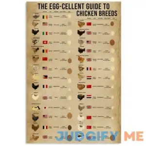 Retro Tin Sign Art Poster The Egg-Cellent ?Guide to Chicken Breed Kitchen Home Decoration Restaurant Farm Metal Sign 12x16 Inches