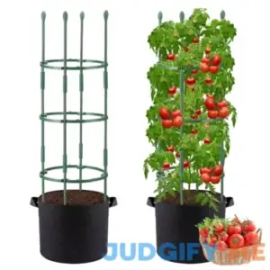 2 Sets Tomato Cages with 10-Gallon Sturdy Grow Bags
