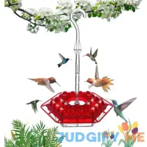 2024 New Mary's Hummingbird Feeder with Perch and Built-in Ant Moat