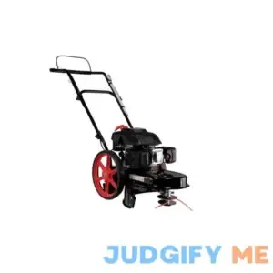 22 in. 173 cc Gas Walk Behind String Trimmer/Mower