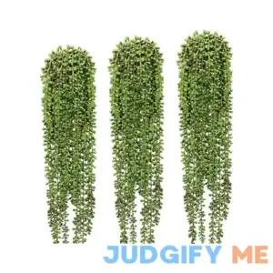 3 Pcs String of Pearls Plant Artificial Hanging Succulents Plants for Home Garden Decor