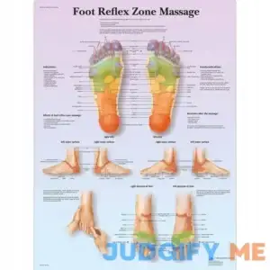 3b Scientific Anatomical Chart Foot Massage Reflex Zone