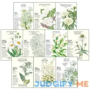 Botanical Interests "Over The Moon" Moon Flower Seed Collection