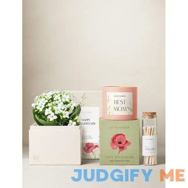 Mother's Day Gifts | Succulent Gardens | Lula's Garden Mother's Day Gifts | Succulent Gardens | Lula's Garden