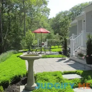 Outsidepride White Miniclover Seeds