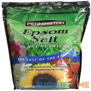 Pennington Epsom Salt