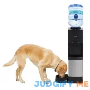 Primo Black Top-loading Cold and Hot Water Cooler 601335