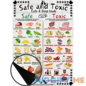 Safe and Toxic Foods for Dogs and Cats Essential Pet Health Guide fridge MAGNET - Size A4 (8.3 x 11.7 inch)