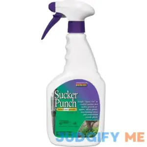 Bonide 2761 Sucker Punch