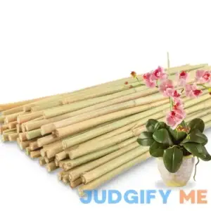50Pcs Bamboo Plant Stakes for Indoor Outdoor Plants