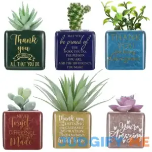Sieral 6 Pcs Teacher Plant Gifts Thank You for Helping Me Grow Succulent Pots Appreciation Gifts for Graduation Employee Volunteer Ceramic Plant Pot