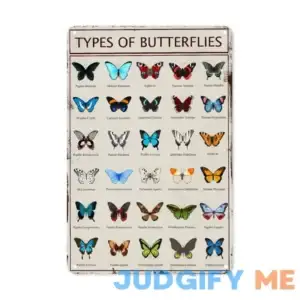ASoftblak Types Of Butterflies Aluminum Metal Sign