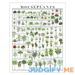 Pop Chart Horticultural Chart of Houseplants 16" x 20" Wall Art