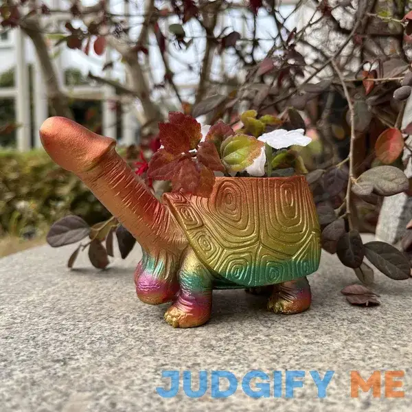 DIKFENS Turtle Planter - Unique Flower Pot for Succulent Plants Live - Turtle Decor for Office and Garden - Plant Pots for Fun Planting Experience ( DIKFENS Turtle Planter - Unique Flower Pot for Succulent Plants Live - Turtle Decor for Office and Garden - Plant Pots for Fun Planting Experience (