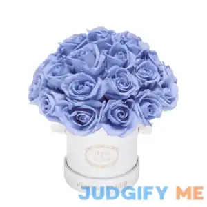 Mini Le Plein with Floral Venus ET Fleur Mother's Day Gift