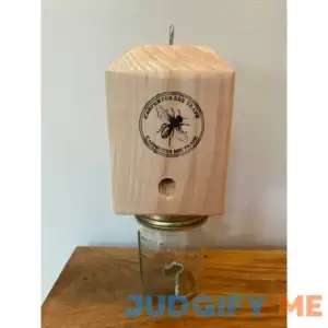 Carpenter Bee Trap