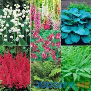 Shade Designer Garden 18 Per Package Red