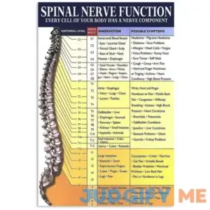 JIUFOTK Spinal Nerve Function Metal Signs Vintage Office Decor Chiropractor Knowledge Tin Poster Home Hospital Wall Decoration Plaque 12x18 Inches