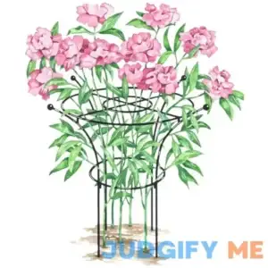 Essex Plant Support Large