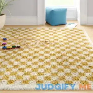 Walker Checkered Cream Shag Area Rug AllModern Rug